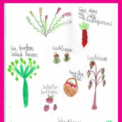01Gummibaerstrauch_Lena_07