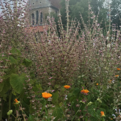 IMG_20240804_06-scaled